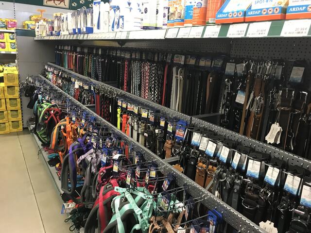 Leinen, Geschirre, Halsbänder in trendigen Farben, Längen und Formen. Die Auswahl ist groß. | Foto: Claudia Bardon