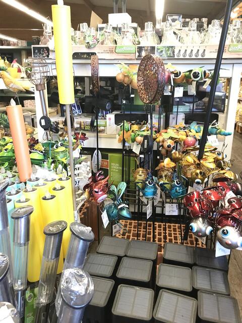 Foto: Claudia Bardon