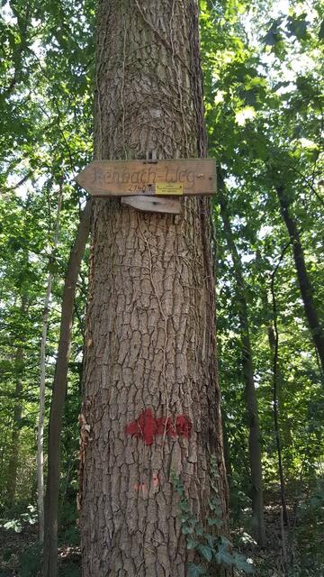 Foto: Martina Müller