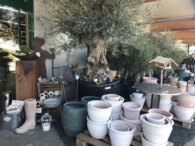 Foto: Claudia Bardon