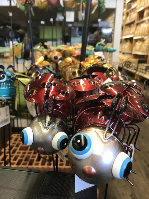 Foto: Claudia Bardon