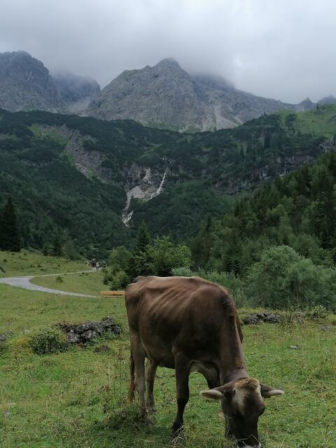 ...und ihre tierischen Bewohner bewundert werden. | Foto: Bernhard