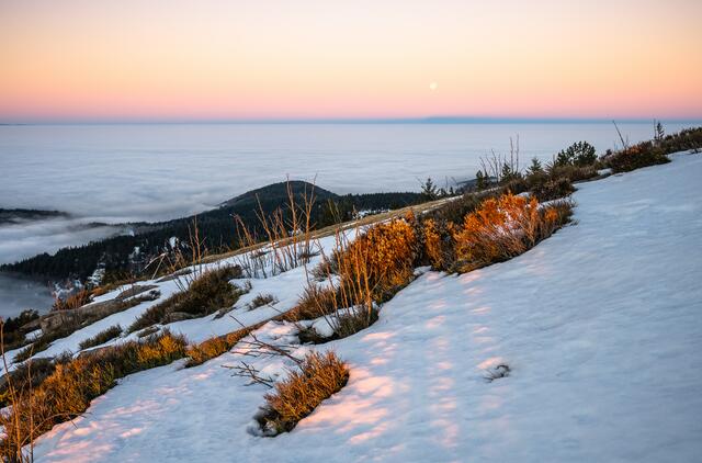 Winterstimmung mit Inversionswetterlage am Katzenkopf, Schwarzwald - 19.12.2021. | Foto: Marvin Jülch
