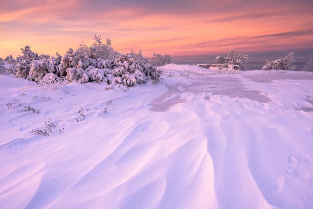 Schnee und Eislandschaft auf der Hornisgrinde, Schwarzwald - 27.12.2020. | Foto: Marvin Jülch