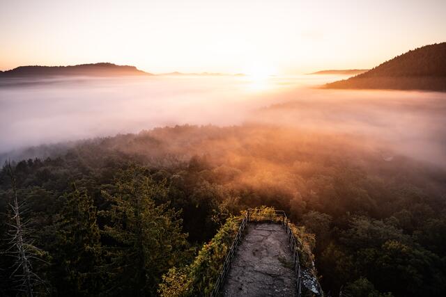 Dichter Bodennebel im Dahner Felsenland, Pfälzerwald - 25.09.2021. 
Zu sehen vom Felsenschiff der Burgruine Drachenfels bei Busenberg. | Foto: Marvin Jülch