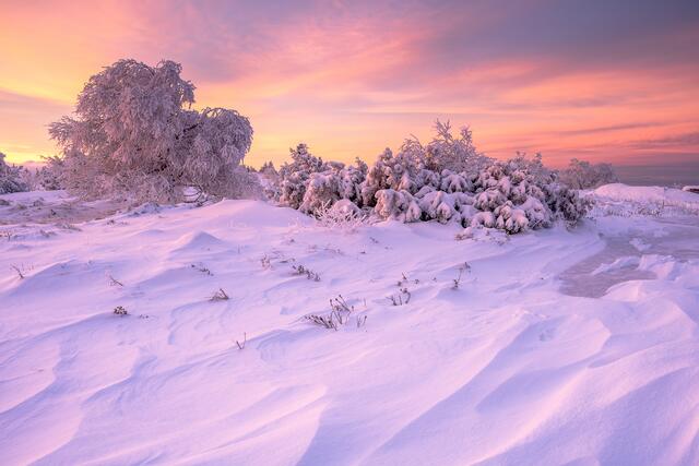 Schnee und Eislandschaft auf der Hornisgrinde, Schwarzwald - 27.12.2020. | Foto: Marvin Jülch