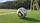 Zu tumultartigen Szenen ist es am Sonntag im Sportpark Fröhnerhof rund um ein Fußballspiel in der A-Klasse des Südwestdeutschen Fußballverbands gekommen (Symbolfoto) | Foto: Ralf Vester
