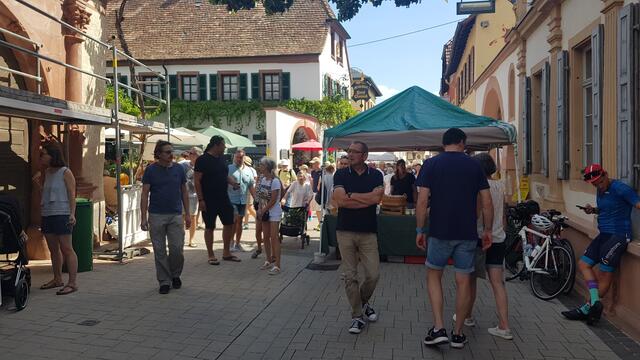 Pfälzer Gartenmarkt Maikammer 2022 Impressionen Neustadt/Weinstraße