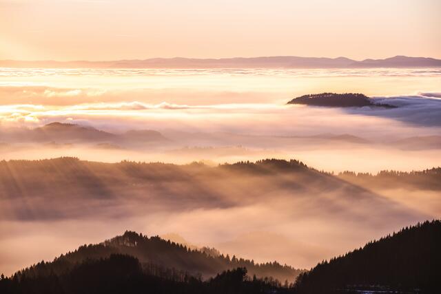 Inversionswetterlage im Abendlicht, Schliffkopf, Schwarzwald - 18.12.2021. | Foto: Marvin Jülch