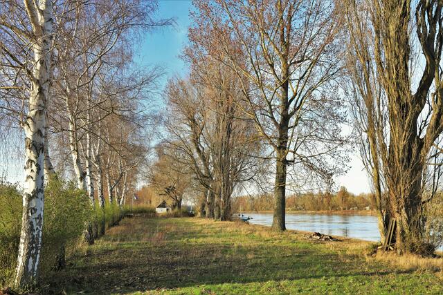Kollerinsel bei Otterstadt  Aufnahmemonat März  | Foto: Maike Müller  