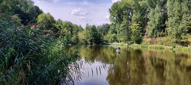 Doch auch am großen Weiher musste mit Pumpen und Strahlrohren Abhilfe geschaffen werden, wie man im Hintergrund erkennen kann. Im Laufe des freitags sollte ein weiterer THW-Trupp mit einer großen Pumpe kommen. | Foto: Tim Altschuck