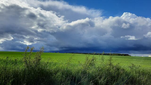 Ein Gewitter naht...
Mehlingen im Mai