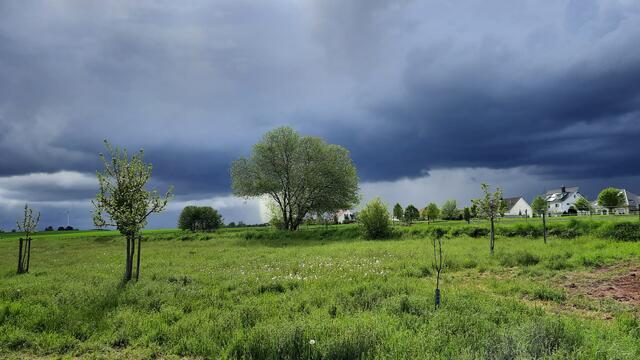 Gewitter im Mai
Mehlingen