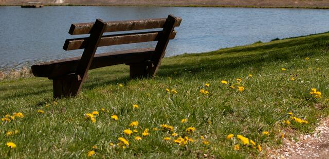 Bank am Silzer See 