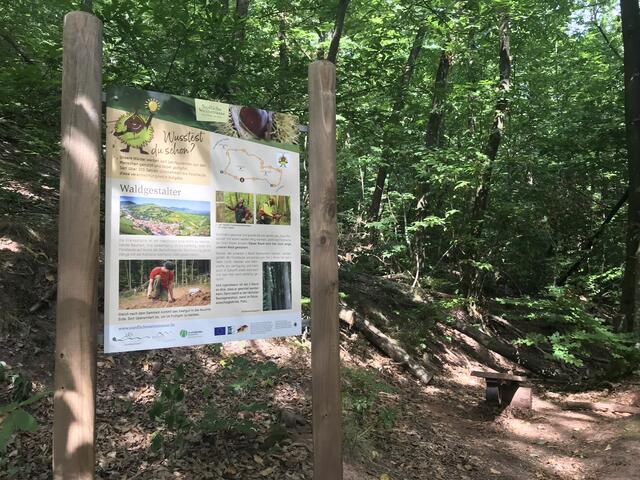 Wissenswertes kurzweilig erklärt | Foto: B. Bender