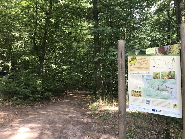 Auf geht's in den Wald | Foto: B. Bender