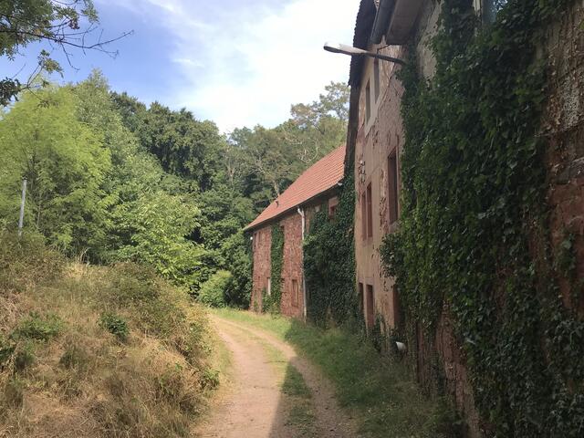 Links oberhalb vom Slevogthof geht's weiter auf dem Kesche-Weg | Foto: B. Bender