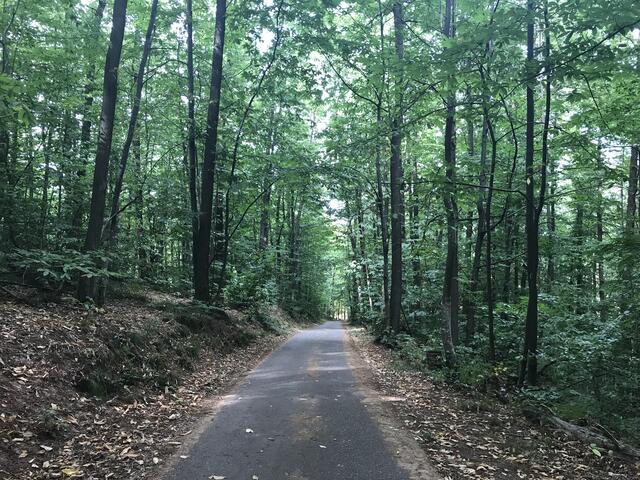 Hinab ins Tal | Foto: B. Bender