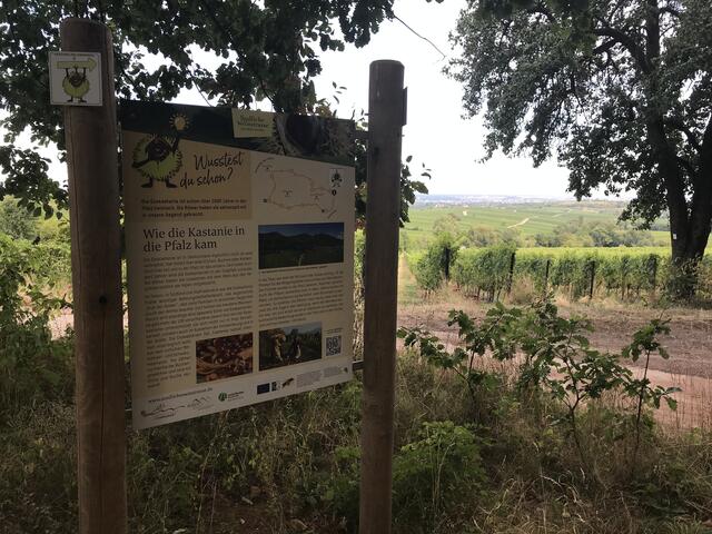 Interessante Infos  | Foto: B. Bender