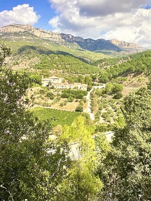 Eine Stunde Fahrt von Tarragona entfernt: Die Landschaft des Priorats mit ihren Weindomänen hat sich zu einem der renommiertesten Anbaugebiete für Rotweine in der Welt entwickelt.  | Foto: Daniel Basler