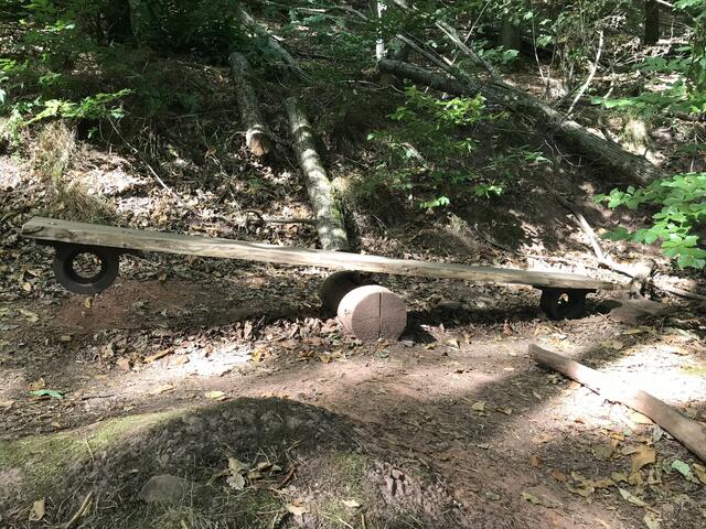 Waldwippe | Foto: B. Bender