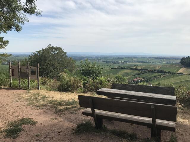 Blick vom Slevogthof in Richtung Rheinebene | Foto: B. Bender