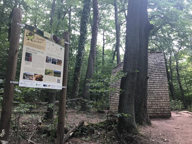 Infotafel am Zollstock | Foto: B. Bender