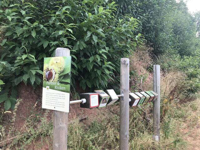 Würfel-Station | Foto: B. Bender