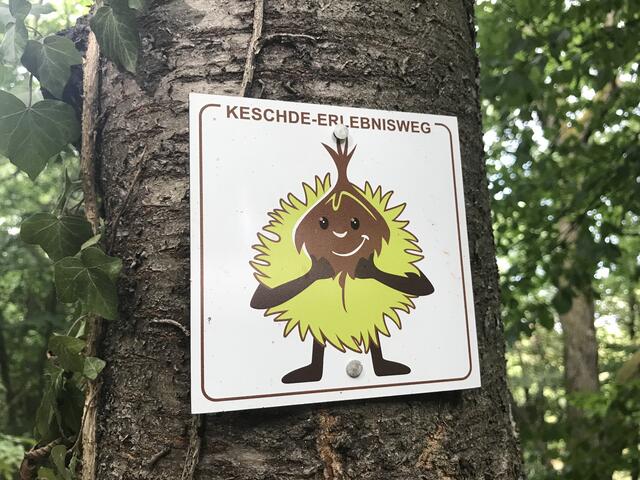 Lustiger Wegweiser | Foto: B. Bender