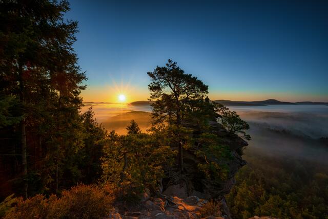 Morgendliche Stimmung am Schlüsselfels im September | Foto: Stefan Jung