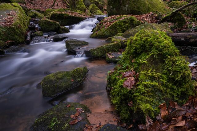 Karlstal im Februar 22 | Foto: Stefan Jung