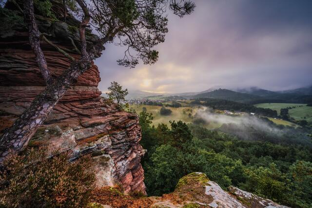 Nebelstimmung am Sprinzelfelsen  im August | Foto: Stefan Jung
