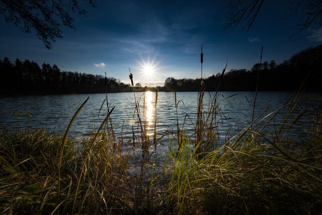 Holzmaar in der Eifel im November | Foto: Stefan Jung