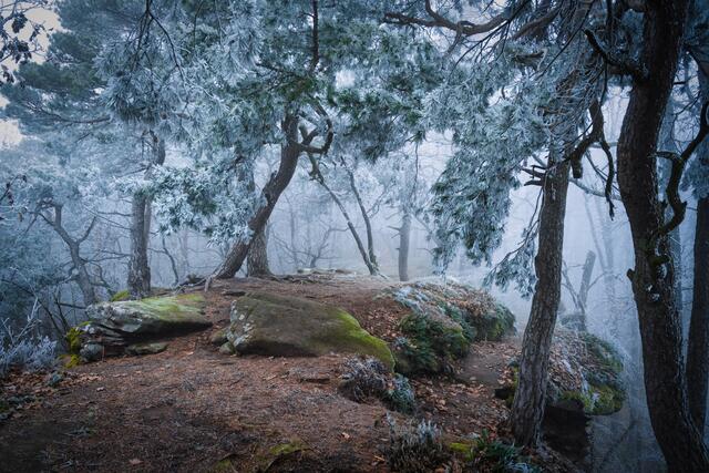 Wanderung zu den Luger Geiersteinen bei frostigen Temperaturen im Januar 22 | Foto: Stefan Jung