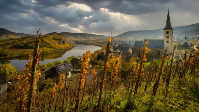 Moselschleife Bremm im November | Foto: Stefan Jung