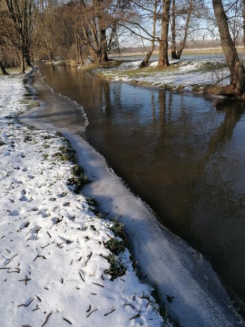 Saalbachkanal Graben-Neudorf/Feb. 2020