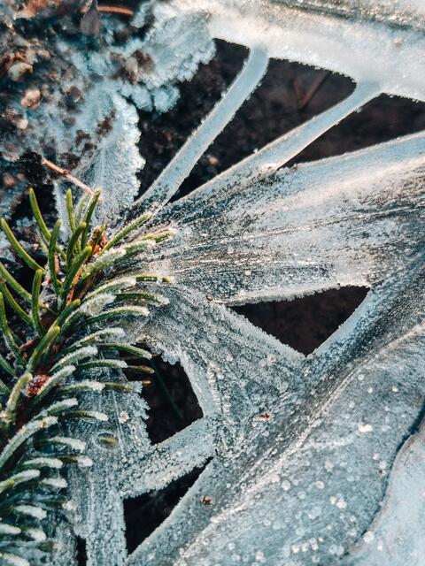 Bei Hohenecken im Januar