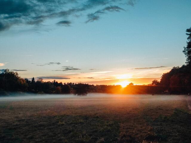 Rodenbach im November 
