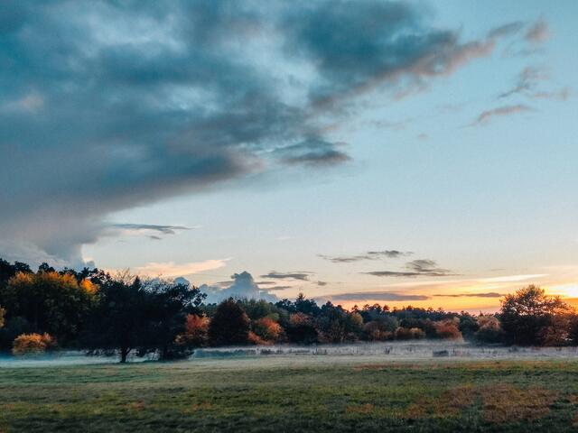 Rodenbach im November