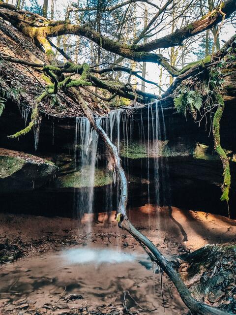 Wasserschaupfad Herschberg im Februar