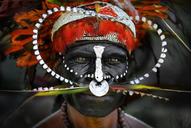 Papuan Warrior | Foto: Norbert Becke