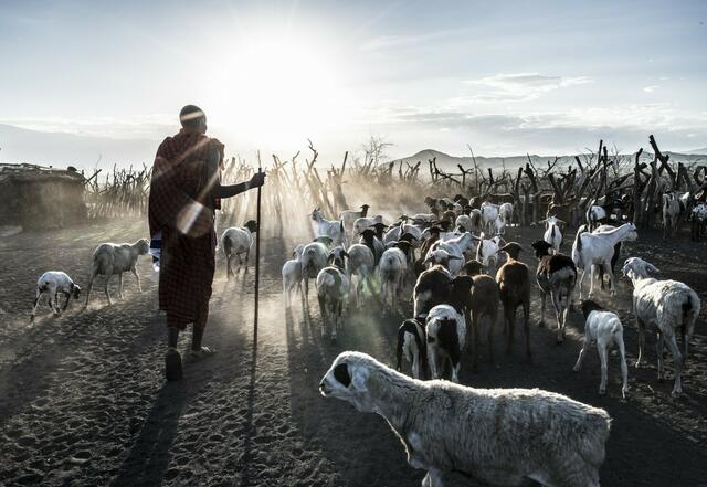 Massai in Tansania | Foto: Michael Martin