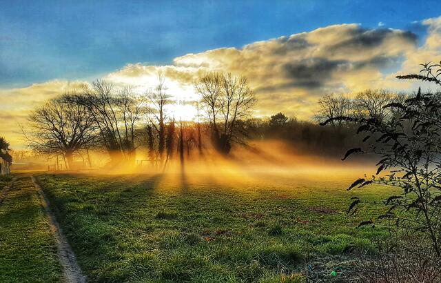 Sonne trifft Nebel am Ortsrand von Harthausen, Winter  | Foto: Anita Lemmert 