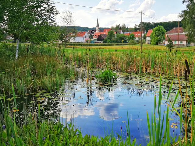 Blick auf Ludwigswinkel, Sommer  | Foto: Anita Lemmert 
