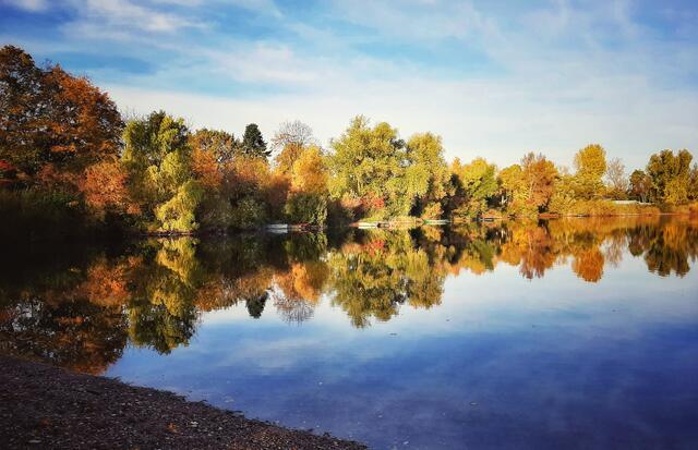 Bunter Herbst am Binsfeldsee bei Speyer, Herbst  | Foto: Anita Lemmert 