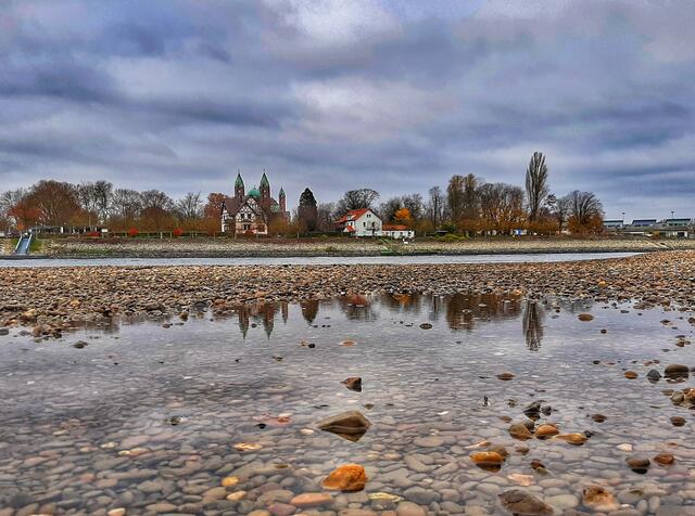 Blick über den Rhein auf Speyer bei Niedrigwasser, Herbst | Foto: Anita Lemmert 