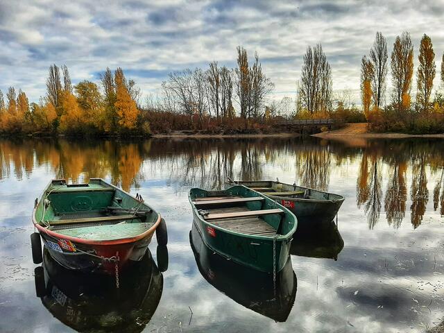 Idylle am Binsfeldsee bei Speyer, Herbst  | Foto: Anita Lemmert 