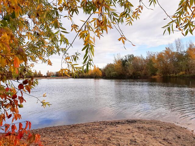 Herstimpression am Binsfeldsee bei Speyer, Herbst  | Foto: Anita Lemmert 