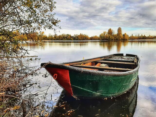 Binsfeldsee bei Speyer, Herbst  | Foto: Anita Lemmert 