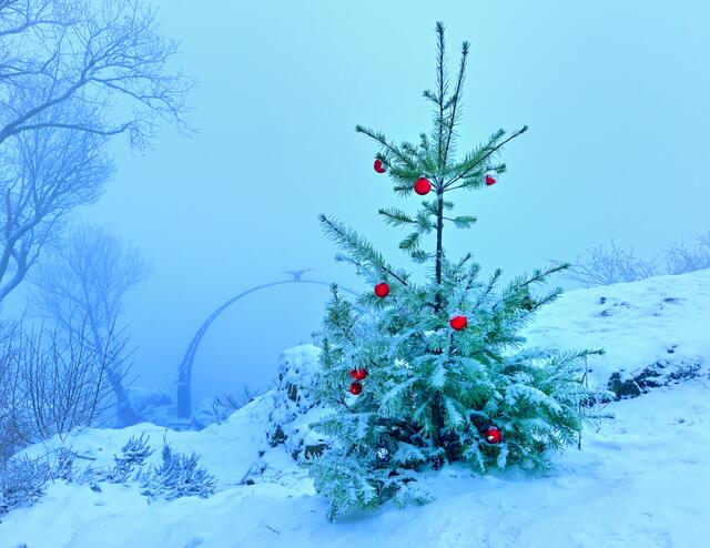 Der Adlerbogen im Dezember 2021. Das Donnersberger Land umhüllt von Nebel.
